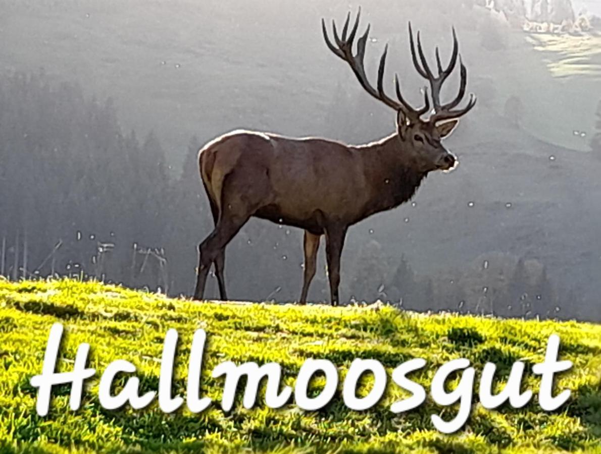 Hallmoosgut Sankt Johann im Pongau Extérieur photo