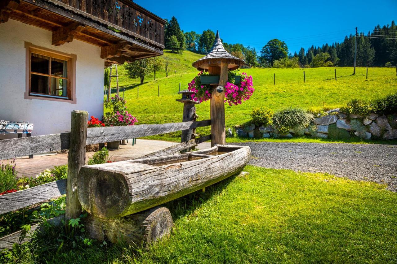 Hallmoosgut Sankt Johann im Pongau Extérieur photo