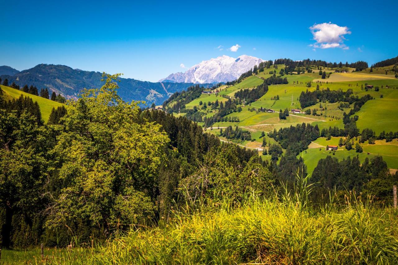 Hallmoosgut Sankt Johann im Pongau Extérieur photo