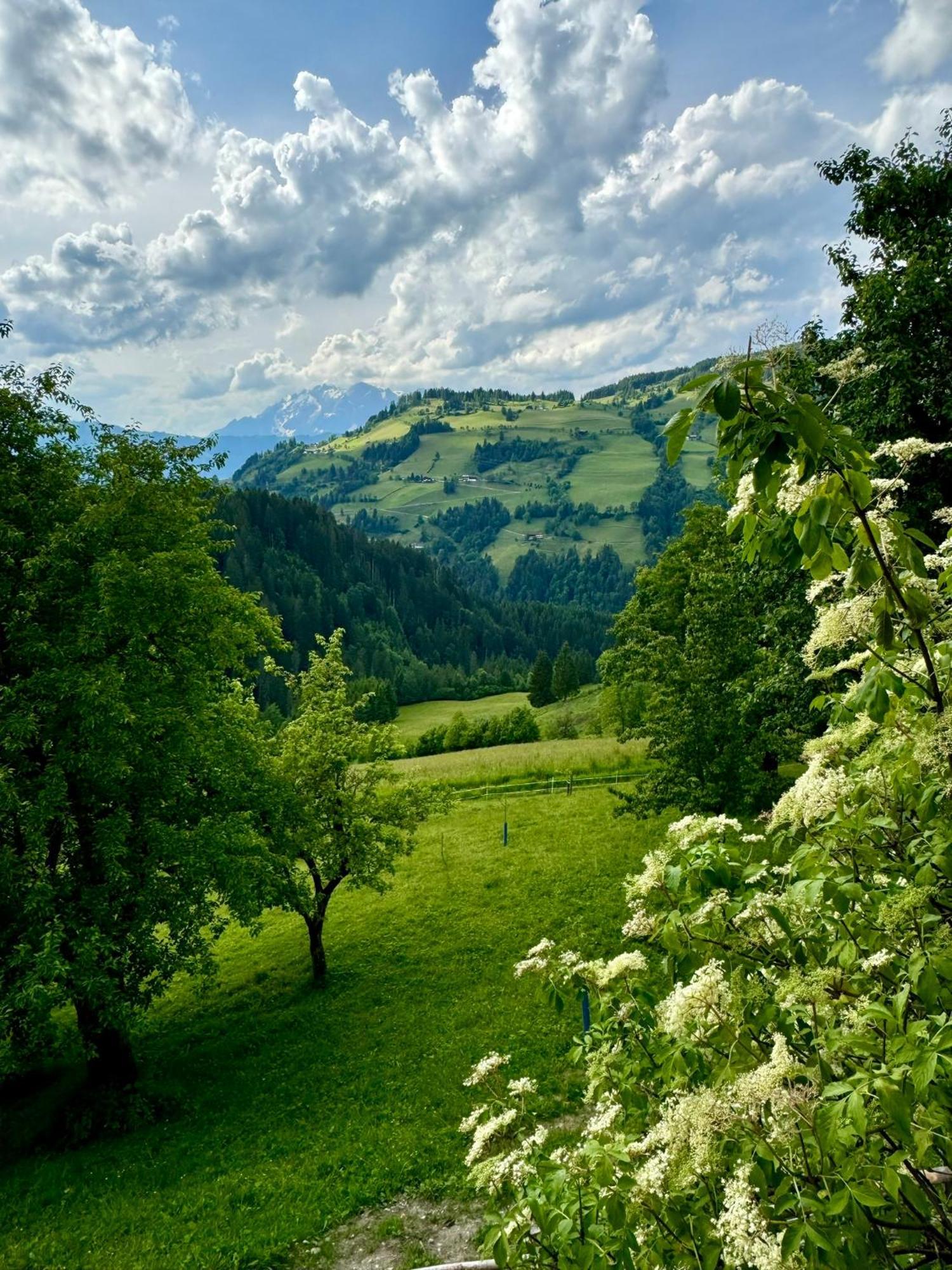 Hallmoosgut Sankt Johann im Pongau Extérieur photo